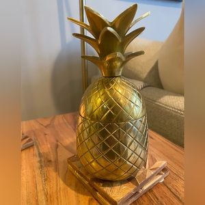 Pineapple Container